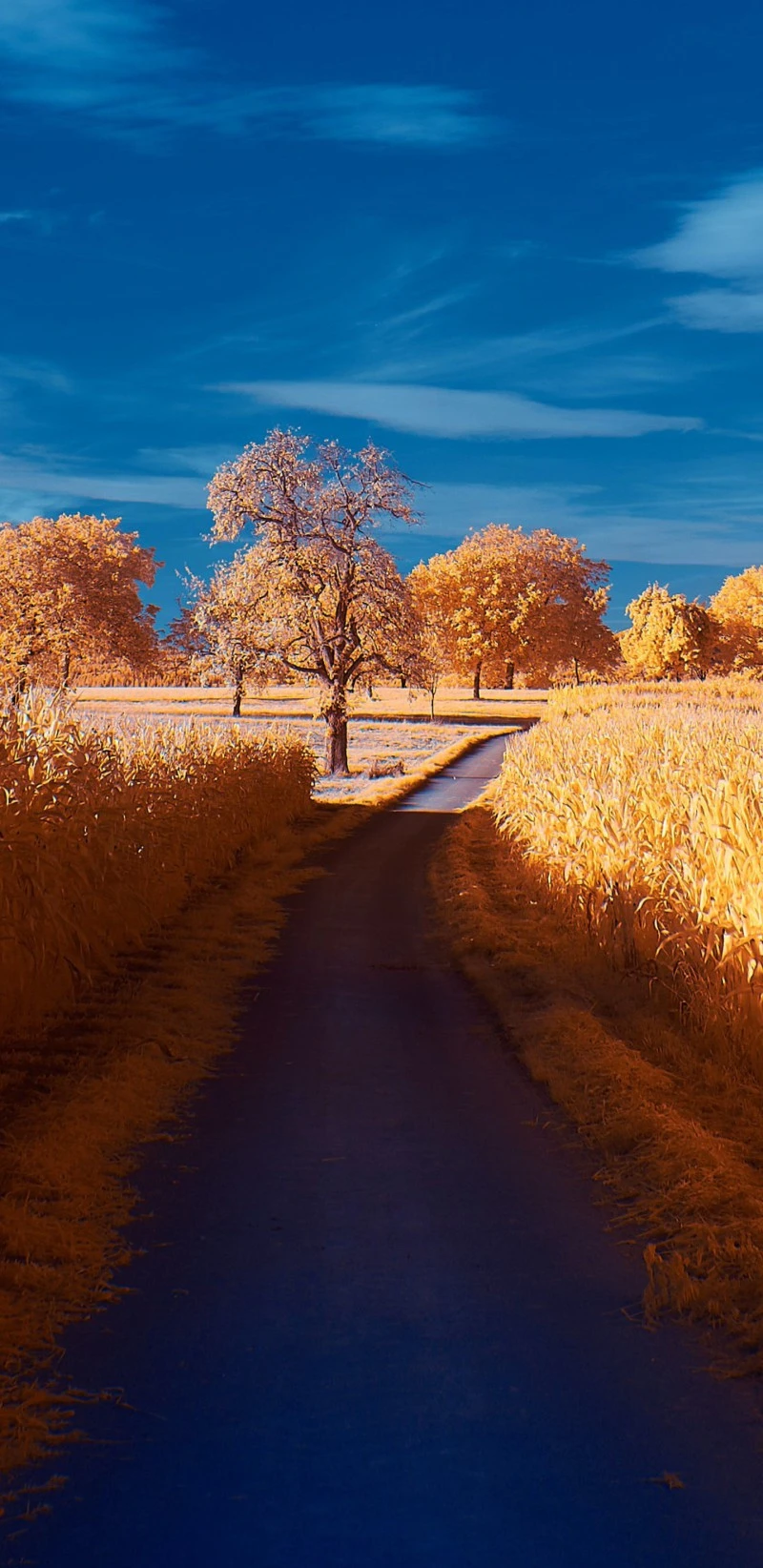 Infrared Countryside Path 4K Mobile Wallpaper