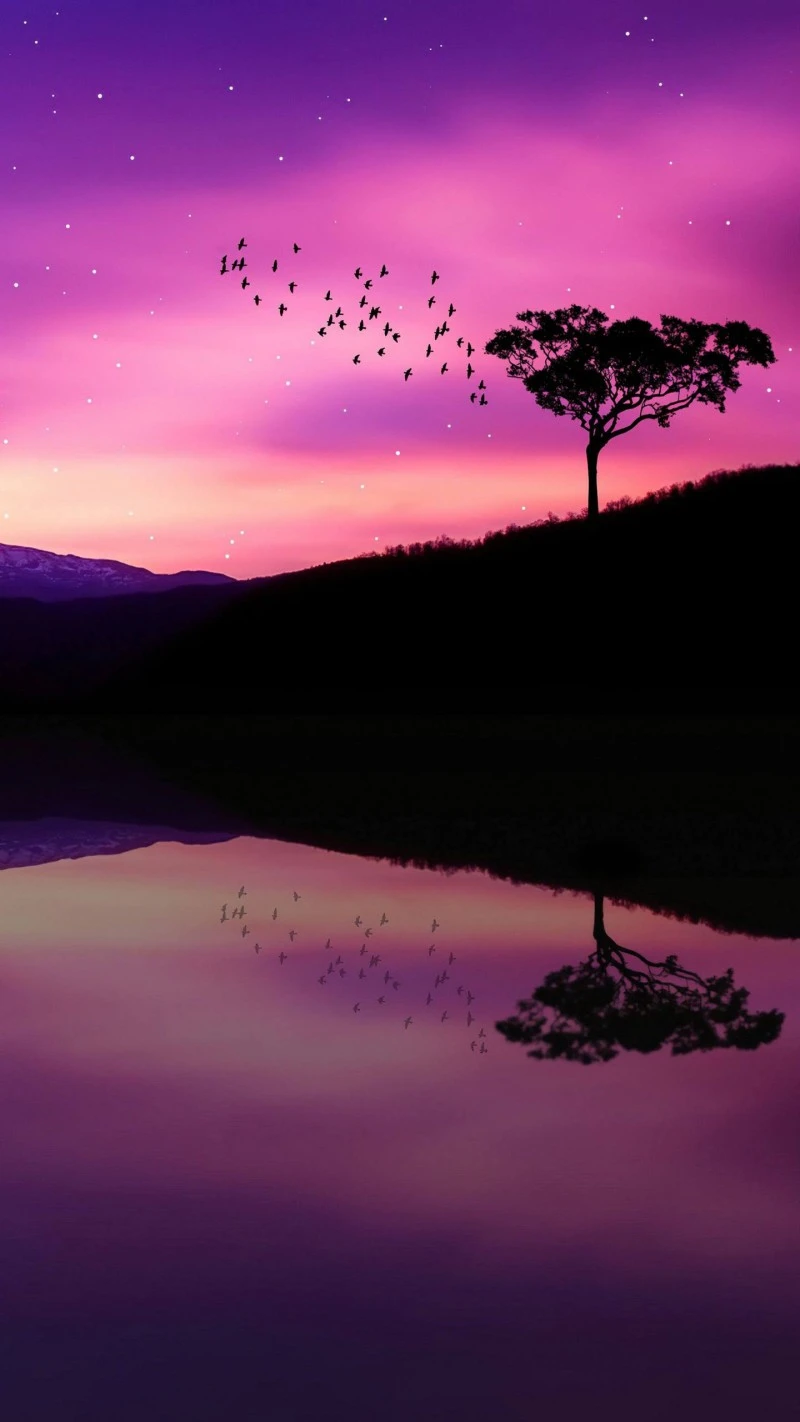Starry Night Reflection 4K Mobile Wallpaper