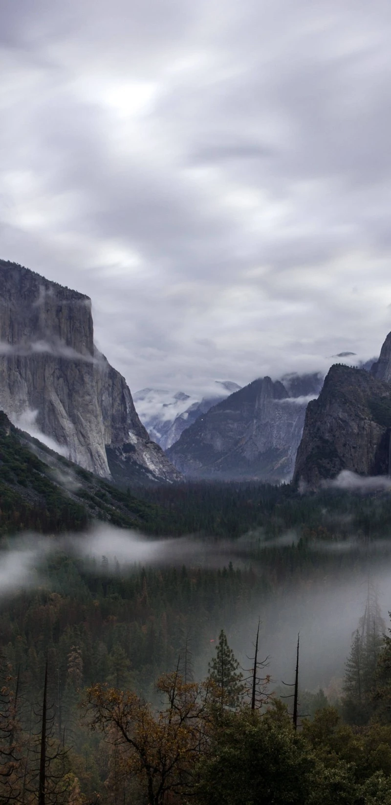Yosemite Valley in the Mist 4K Mobile Wallpaper