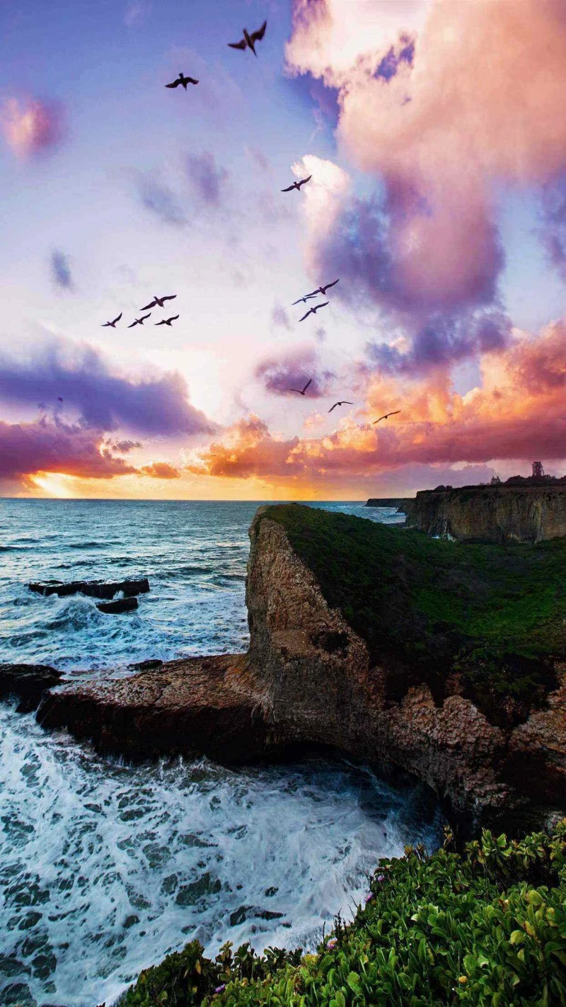 Birds in Flight over Coastal Cliffs 4K Mobile Wallpaper