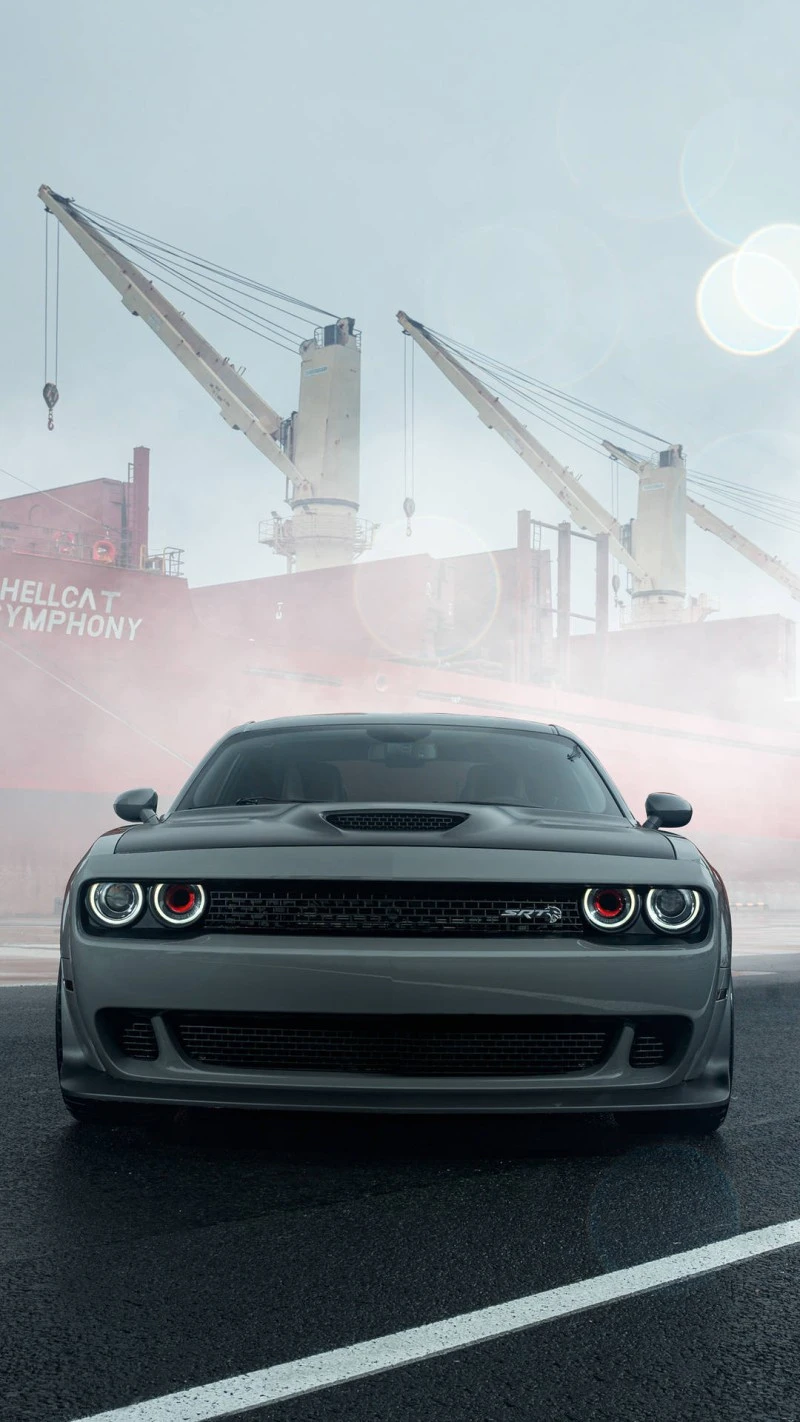 Hellcat by the Cranes 4K Mobile Wallpaper