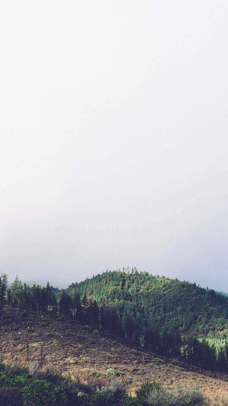 Misty Mountaintop 4K Mobile Wallpaper