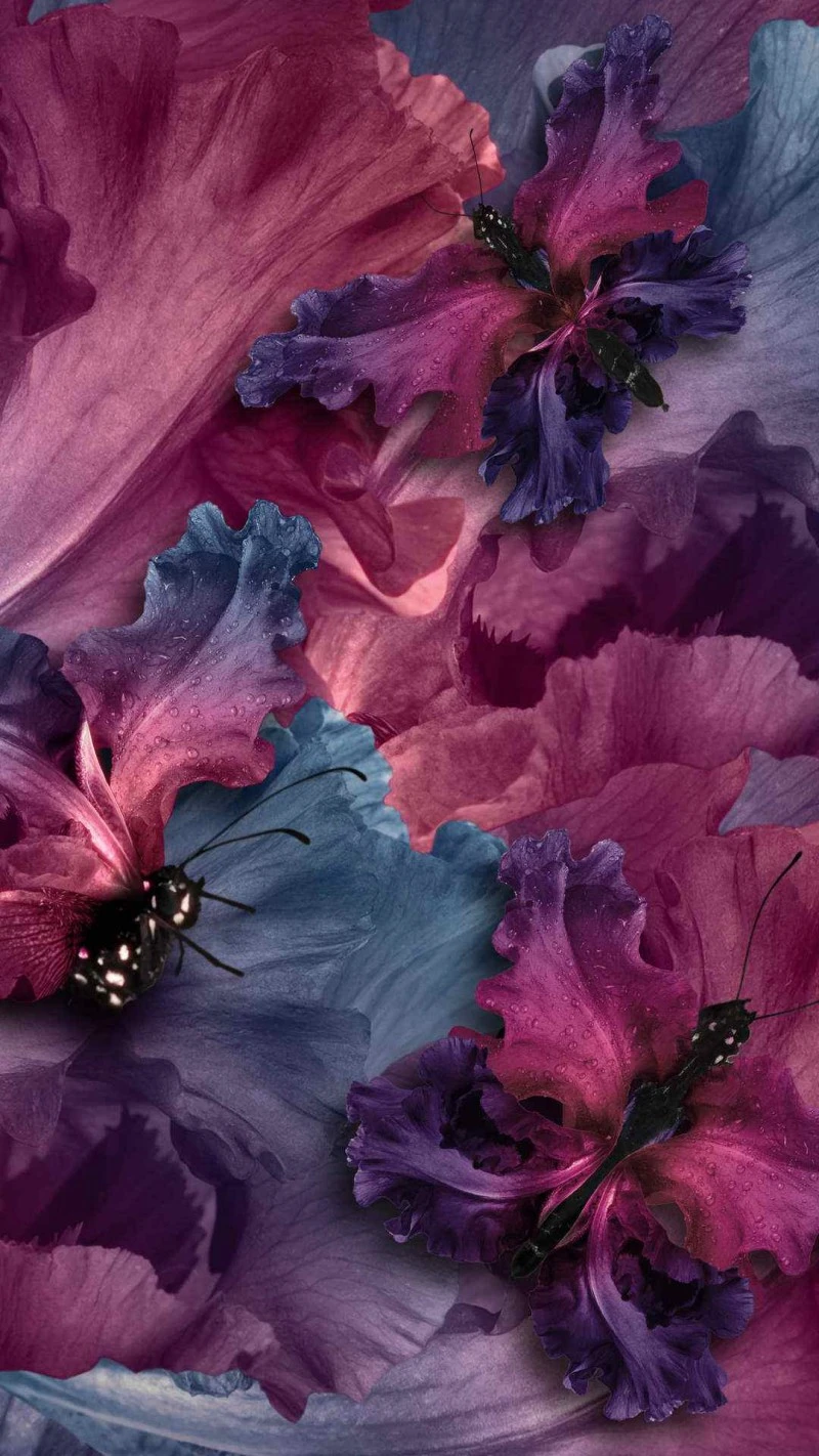 Butterflies on Iris Flowers 4K Mobile Wallpaper