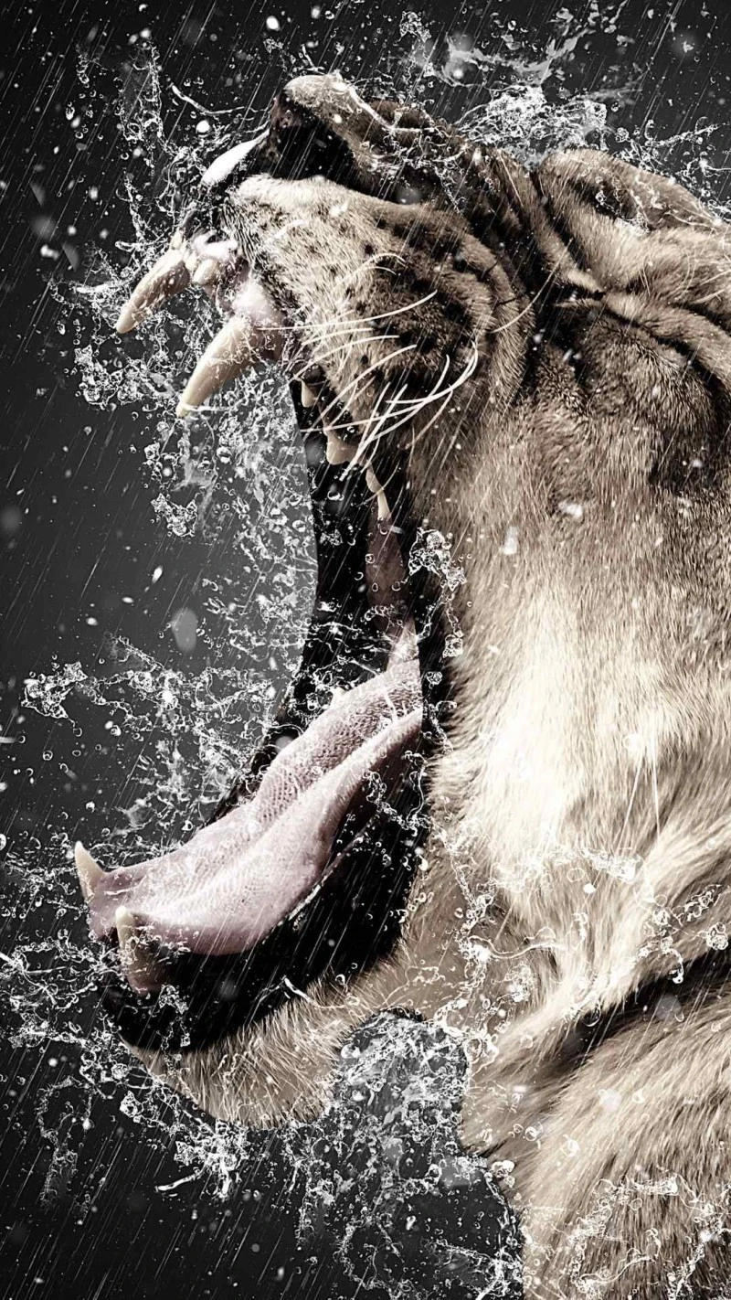 Roaring Lioness in the Rain 4K Mobile Wallpaper