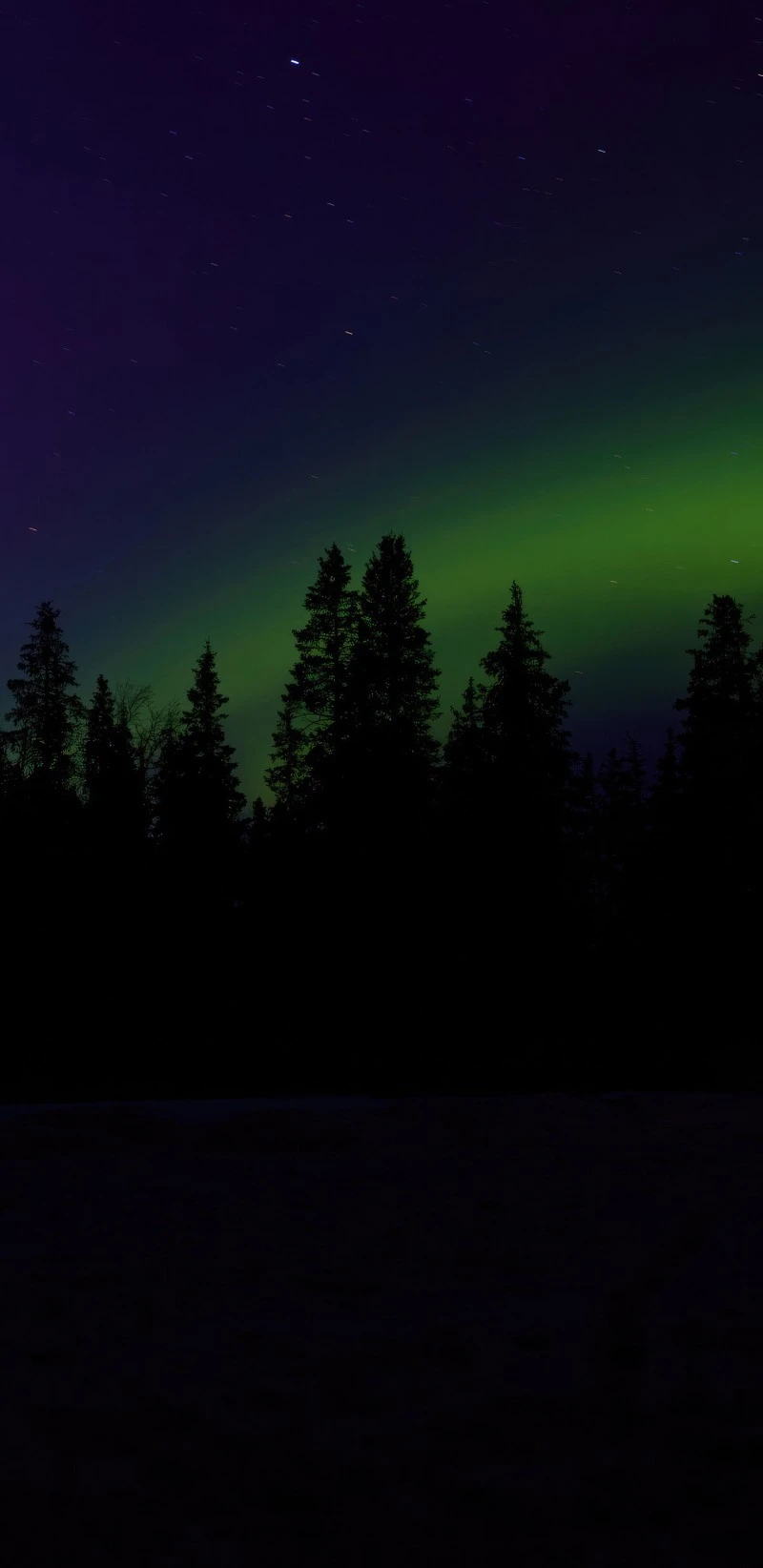 Aurora Borealis Over Silhouetted Trees 4K Mobile Wallpaper