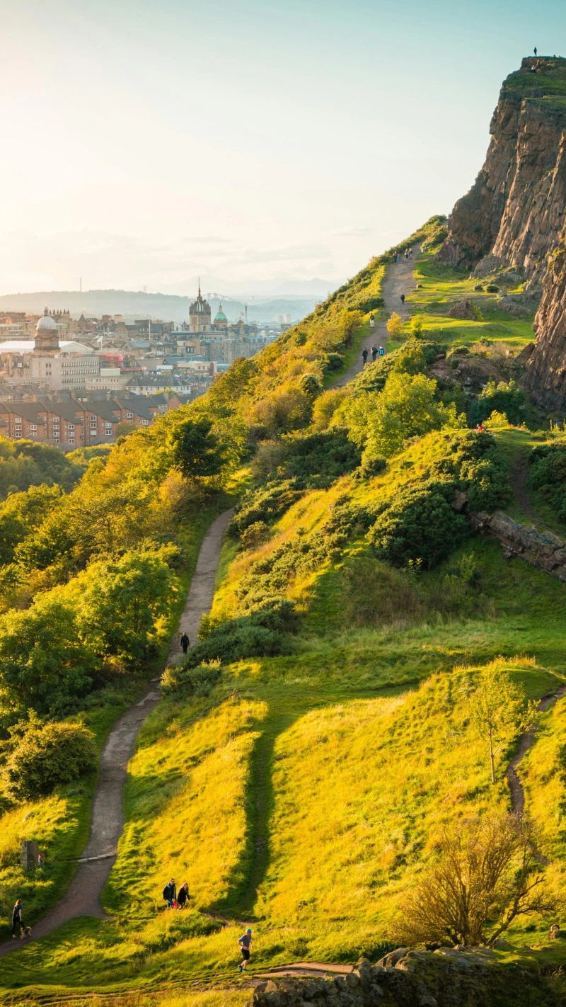 Green Hillside 4K Mobile Wallpaper