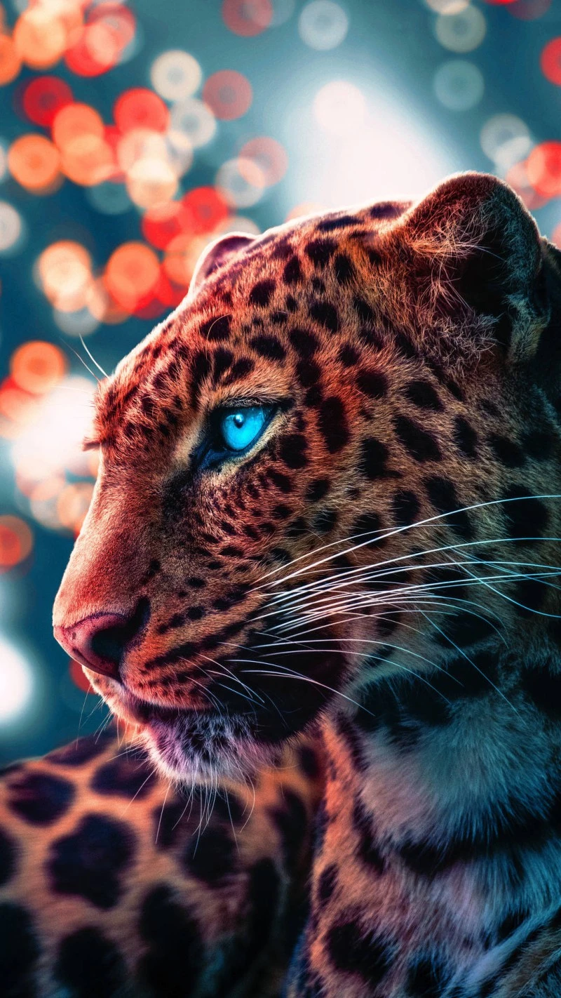 Leopard with Bokeh Background 4K Mobile Wallpaper