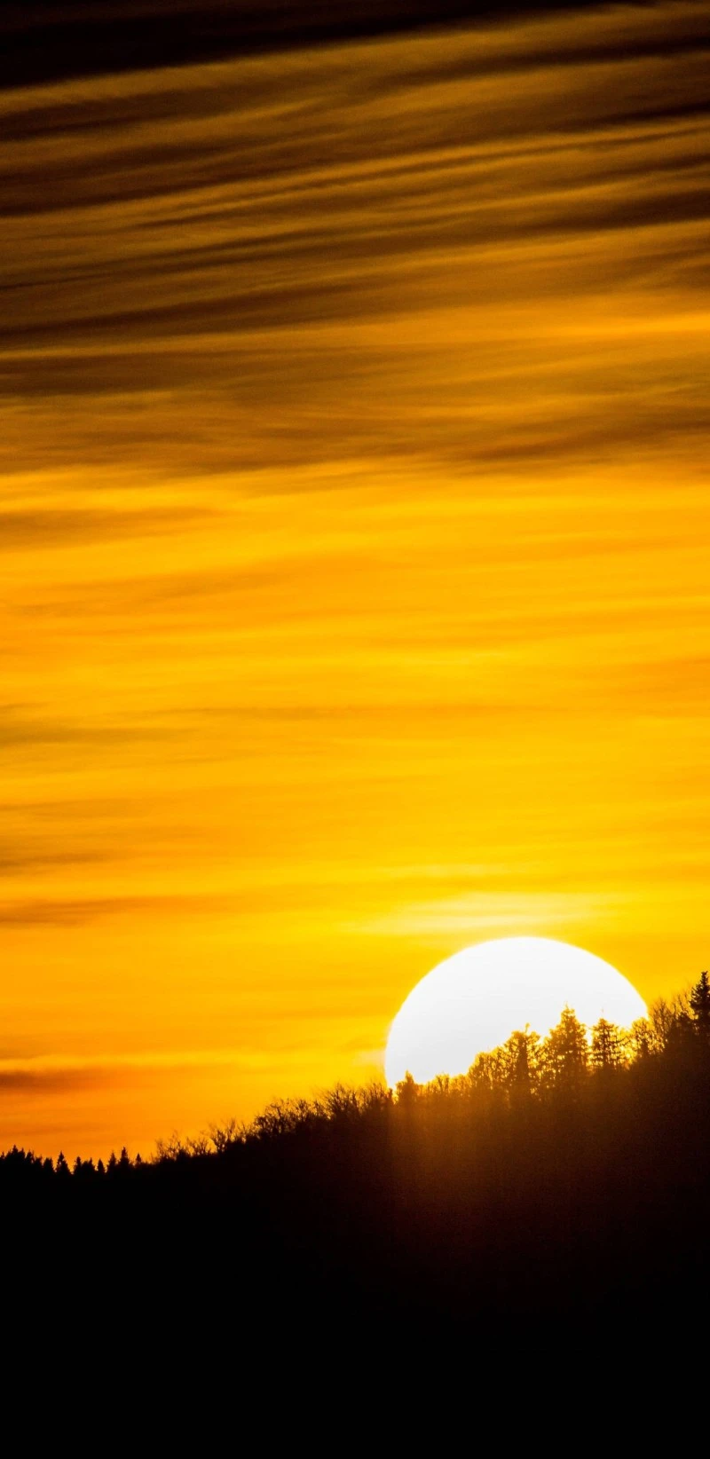 Golden Sunset over the Horizon 4K Mobile Wallpaper