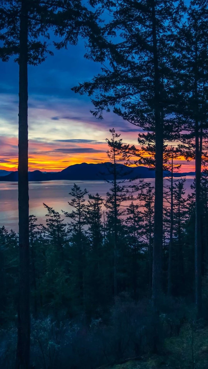 Sunset over the Pacific Northwest 4K Mobile Wallpaper