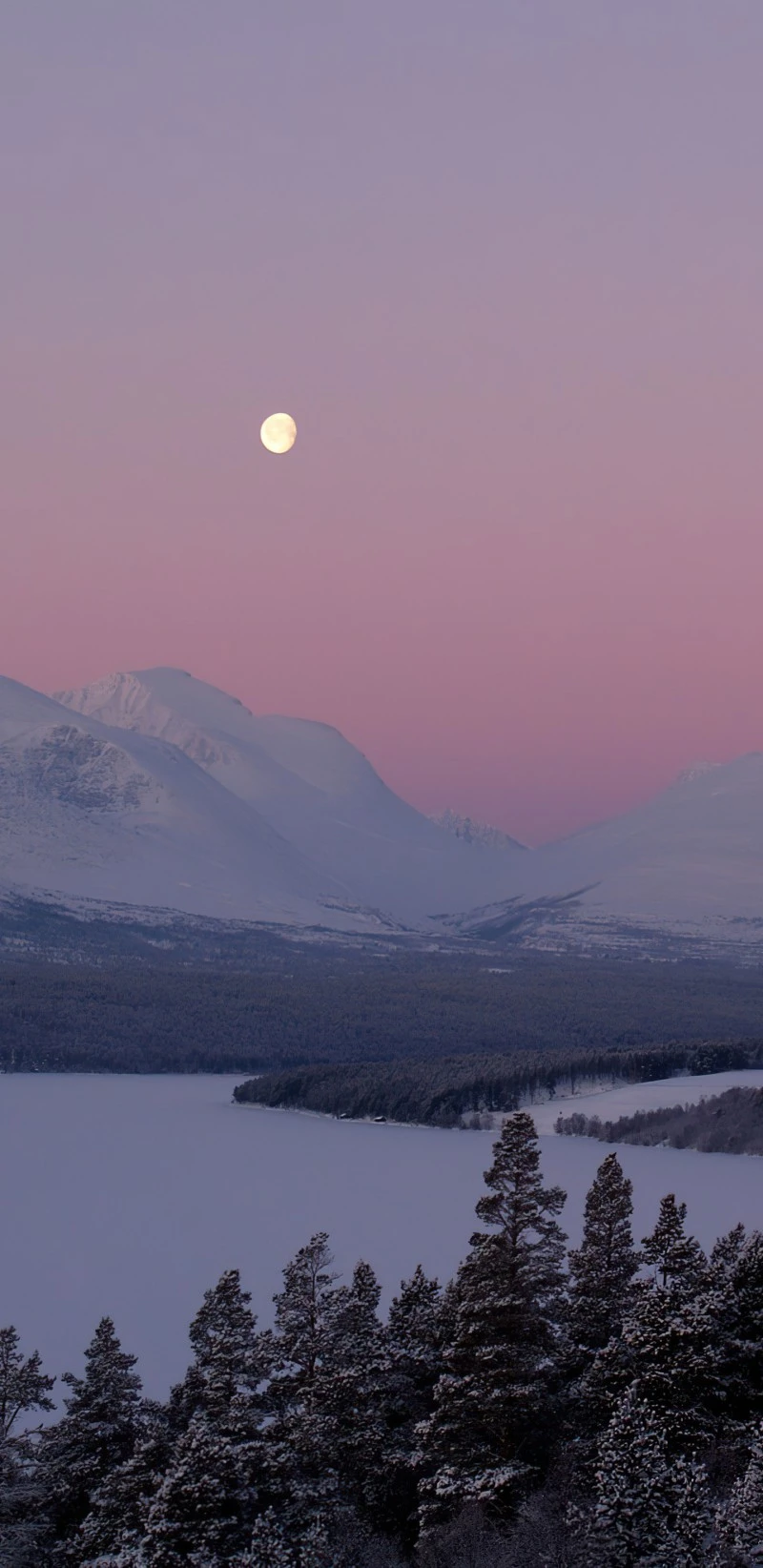 Moonlit Winter Landscape 4K Mobile Wallpaper