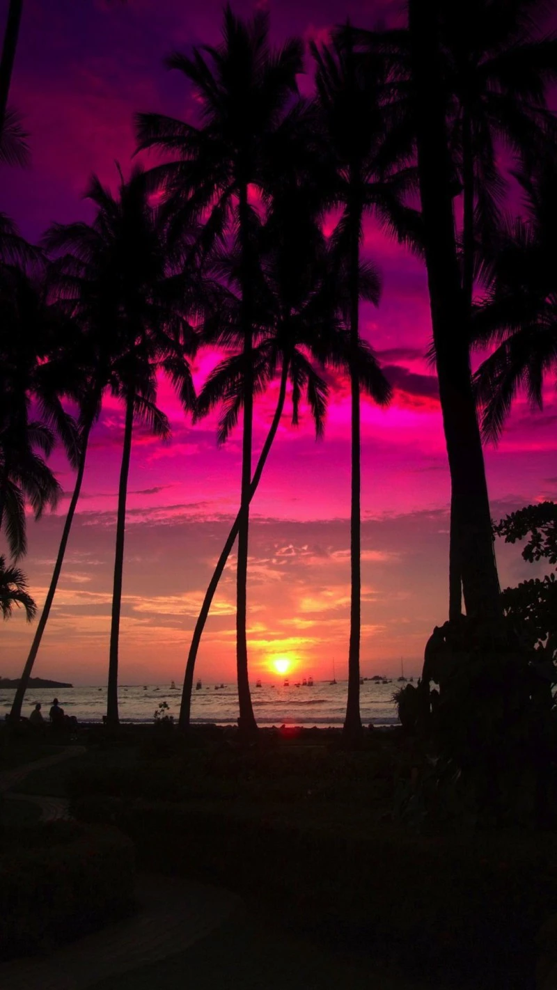 Vibrant Sunset Paradise 4K Mobile Wallpaper