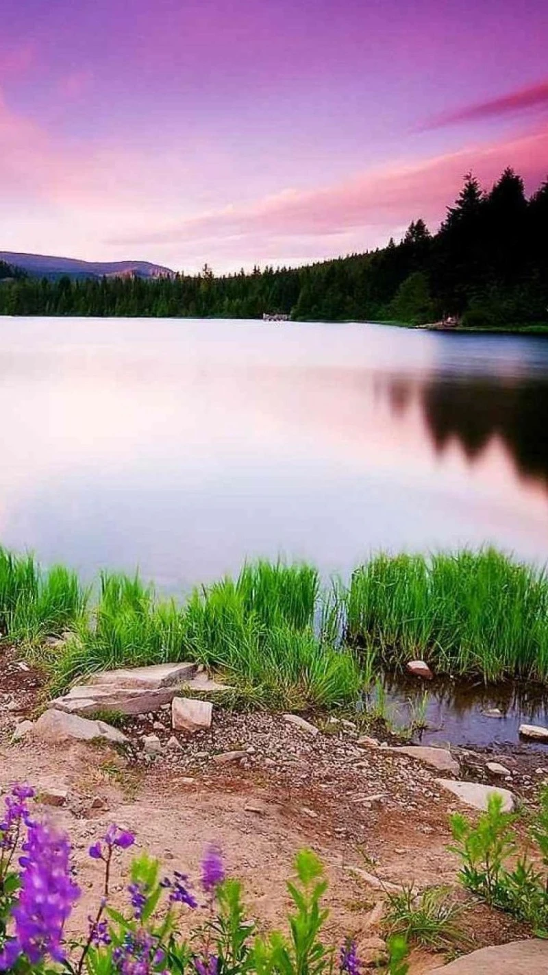 Tranquil Lakeside Sunset 4K Mobile Wallpaper