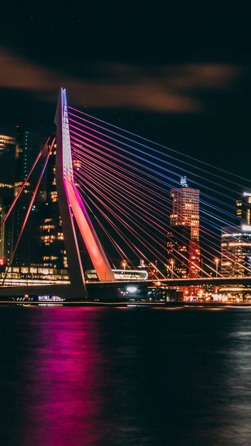 Erasmus Bridge at Night 4K Mobile Wallpaper