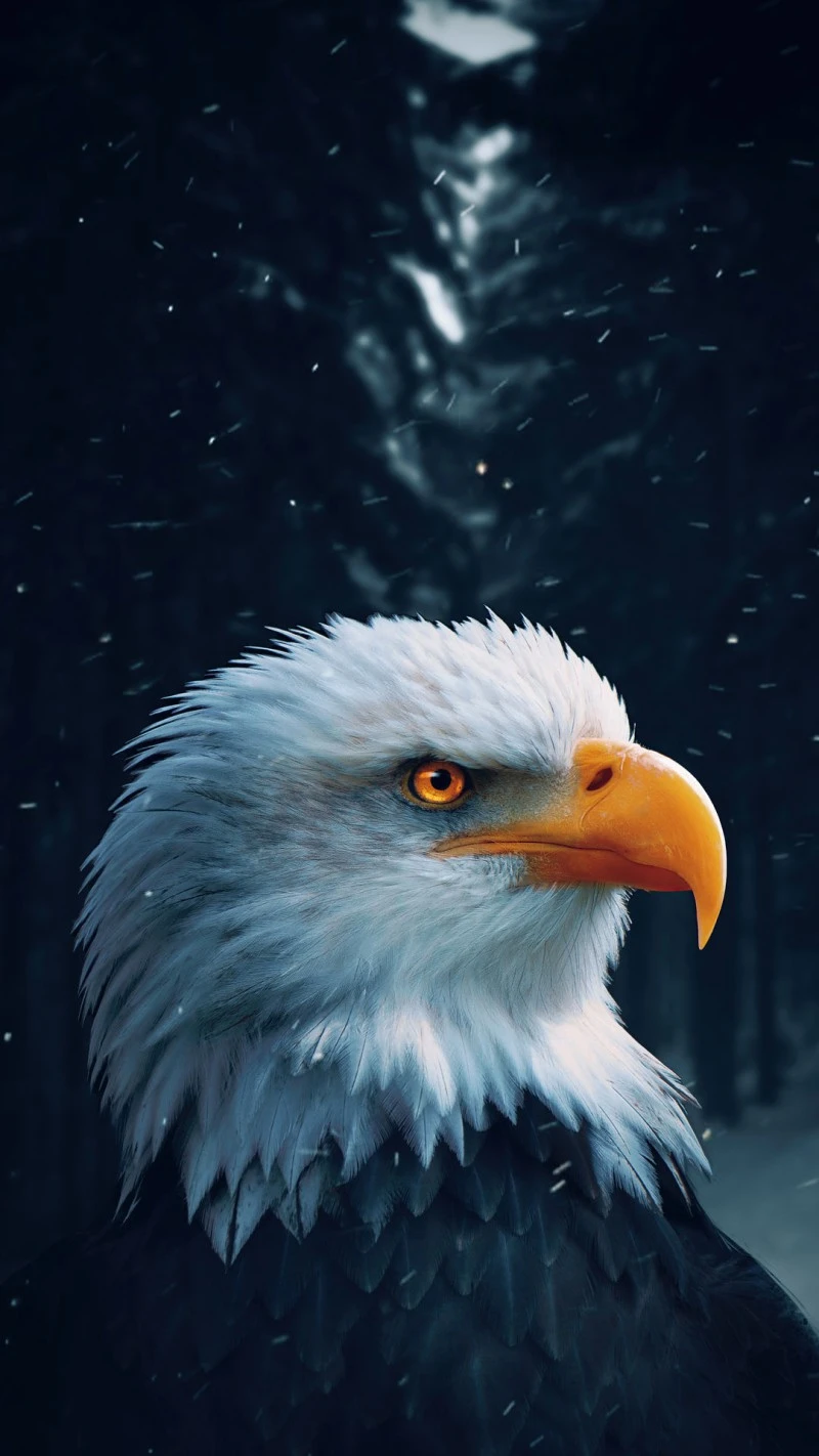Majestic Bald Eagle in Winter Wonderland 4K Mobile Wallpaper
