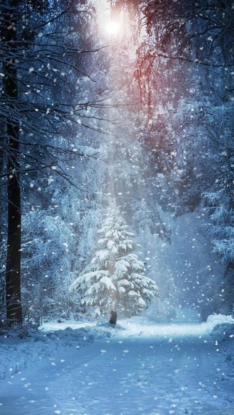 Enchanted Winter Forest 4K Mobile Wallpaper