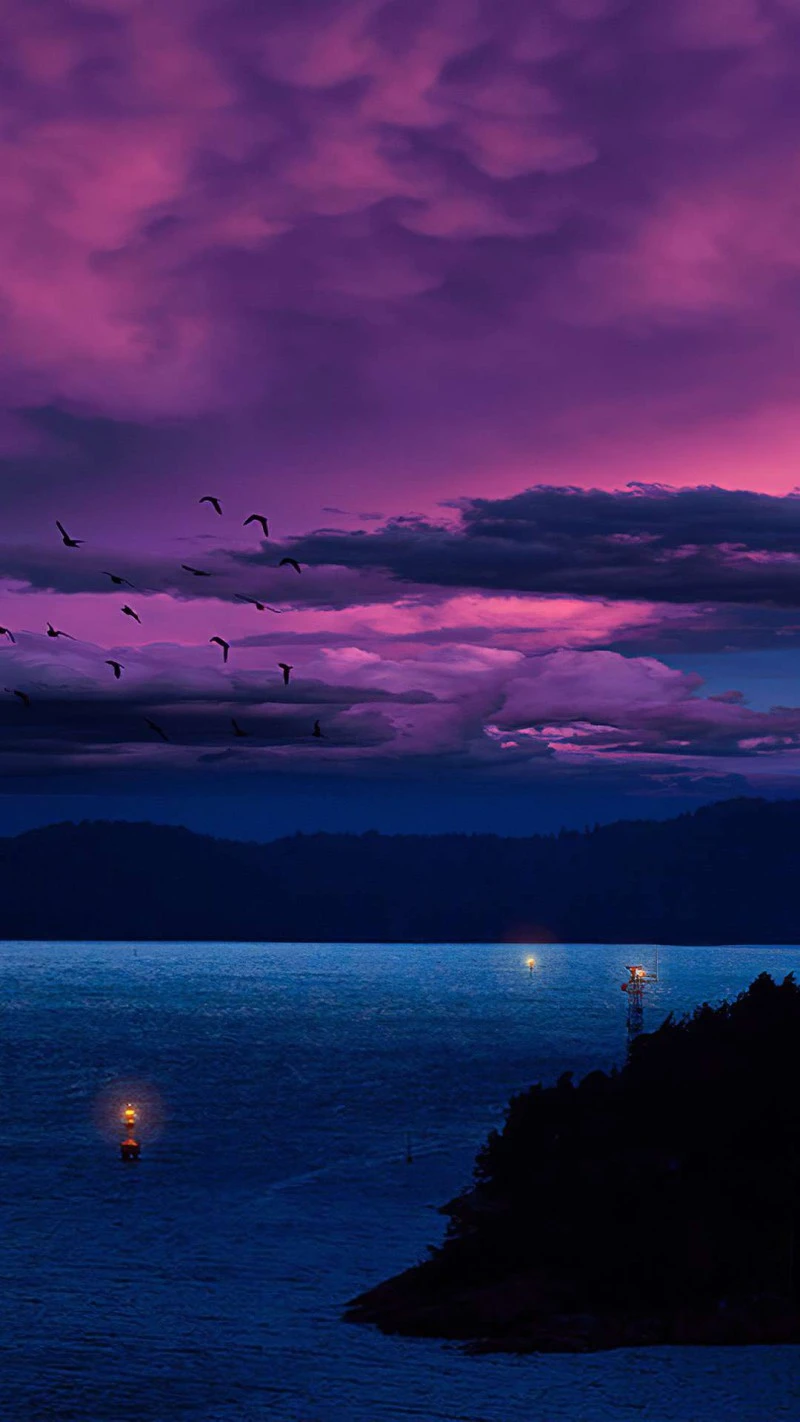 Twilight Seascape with Birds 4K Mobile Wallpaper