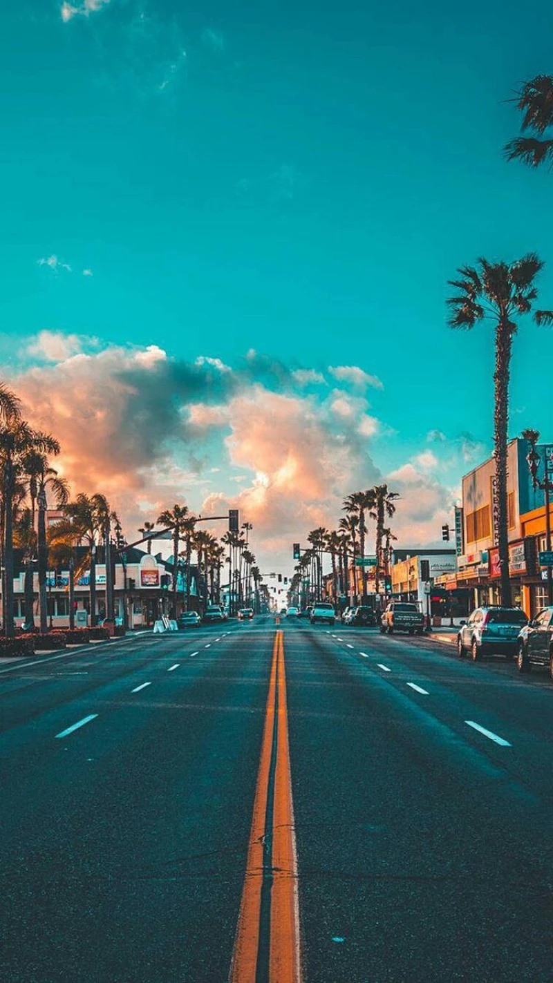Palm Tree Lined Street at Sunset 4K Mobile Wallpaper