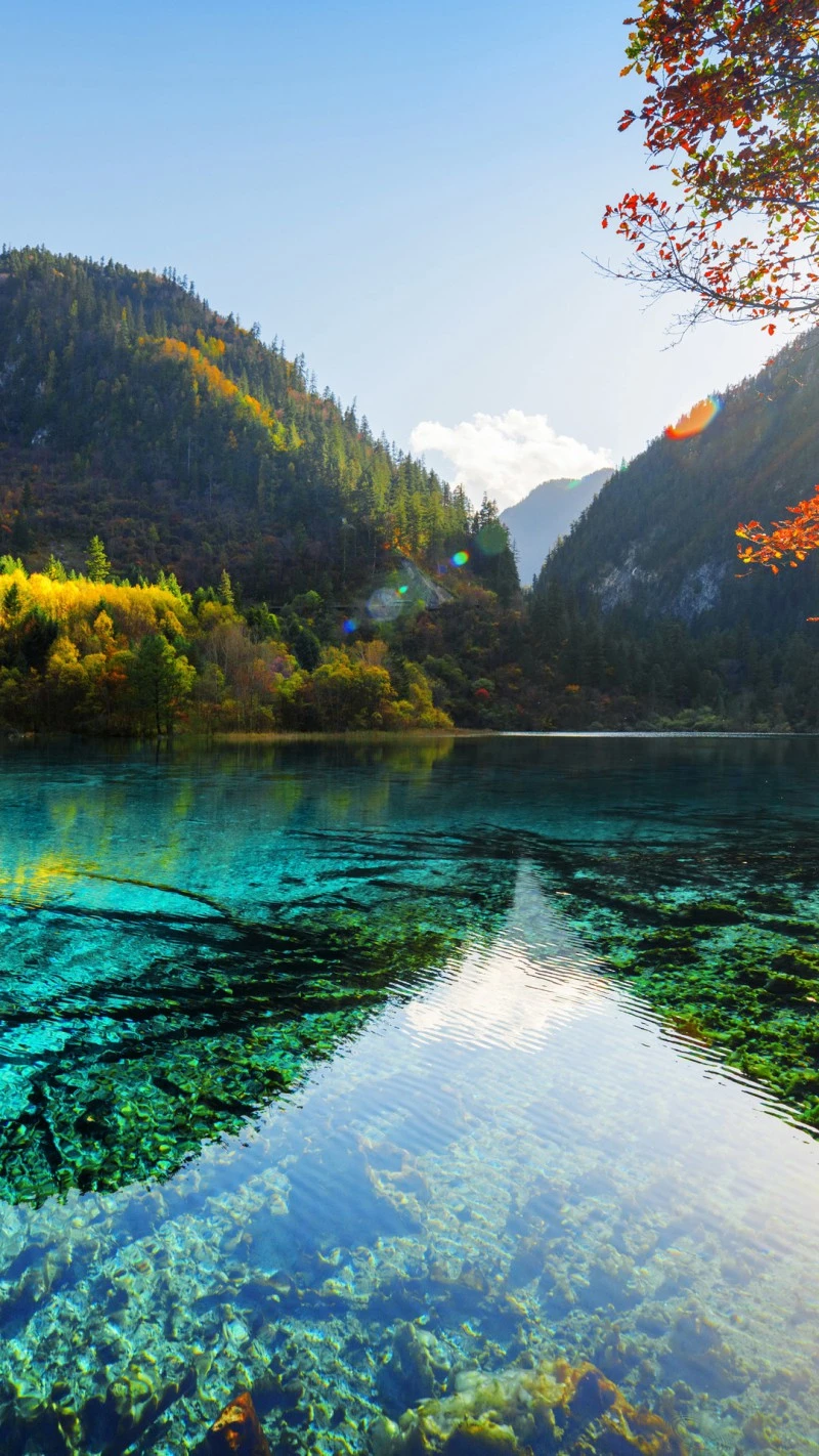 Autumn Reflections in Jiuzhaigou Valley 4K Mobile Wallpaper