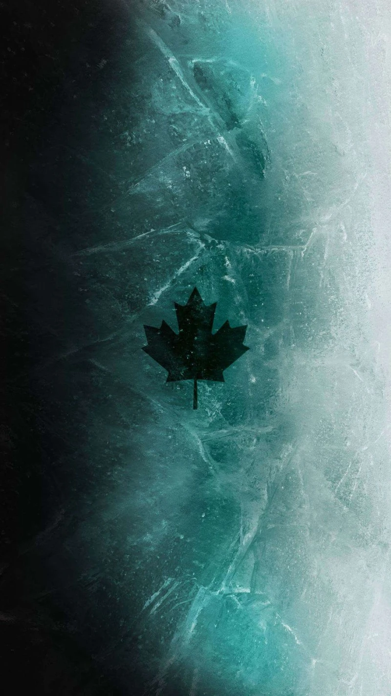 Frozen Maple Leaf 4K Mobile Wallpaper