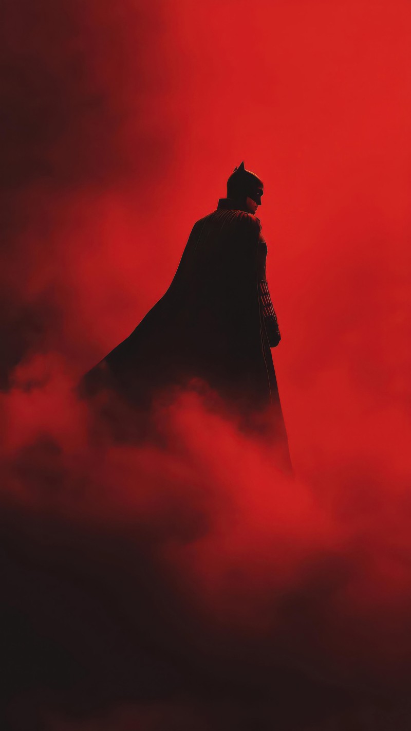 The Dark Knight in Shadows