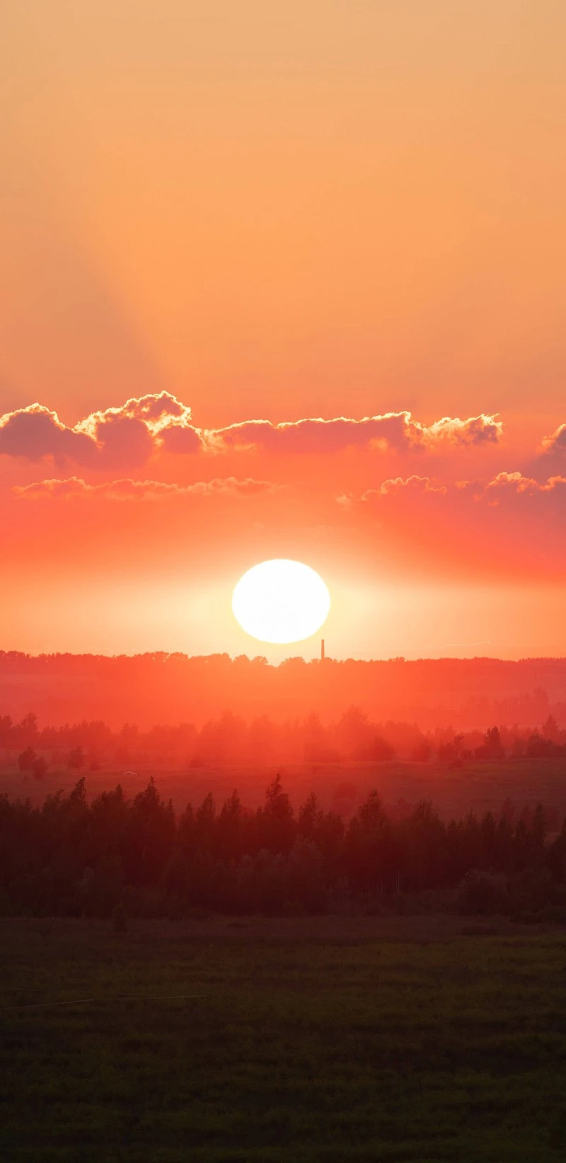 Fiery Sunset over the Fields 4K Mobile Wallpaper