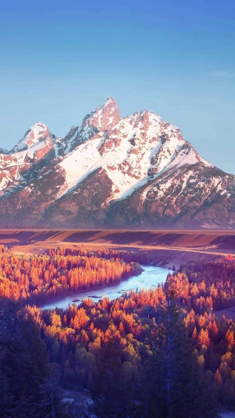 Autumn in the Tetons 4K Mobile Wallpaper