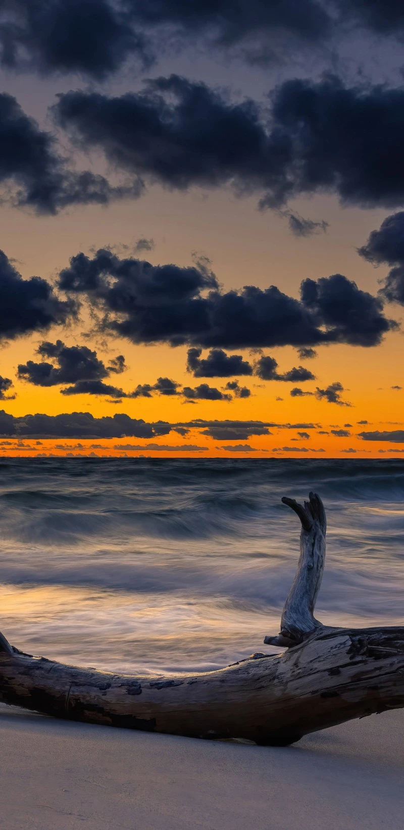 Driftwood at Sunset 4K Mobile Wallpaper