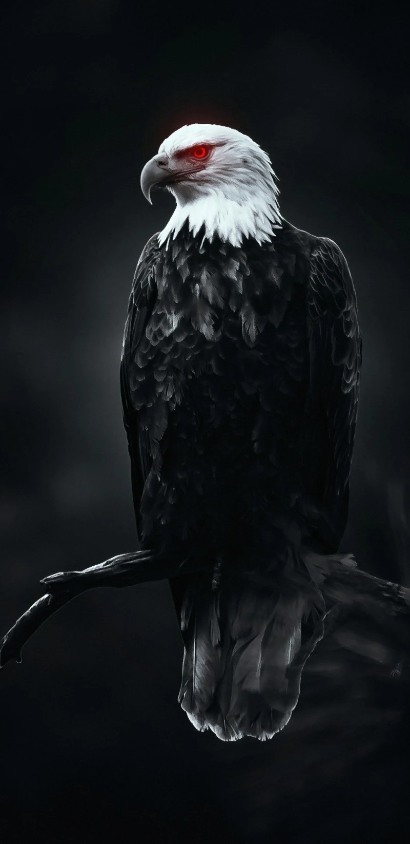 Dark Eagle with Glowing Red Eyes 4K Mobile Wallpaper