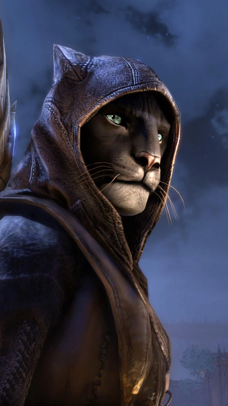 Khajiit Assassin 4K Mobile Wallpaper
