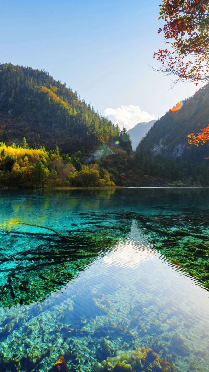Autumn Serenity in Jiuzhaigou 4K Mobile Wallpaper