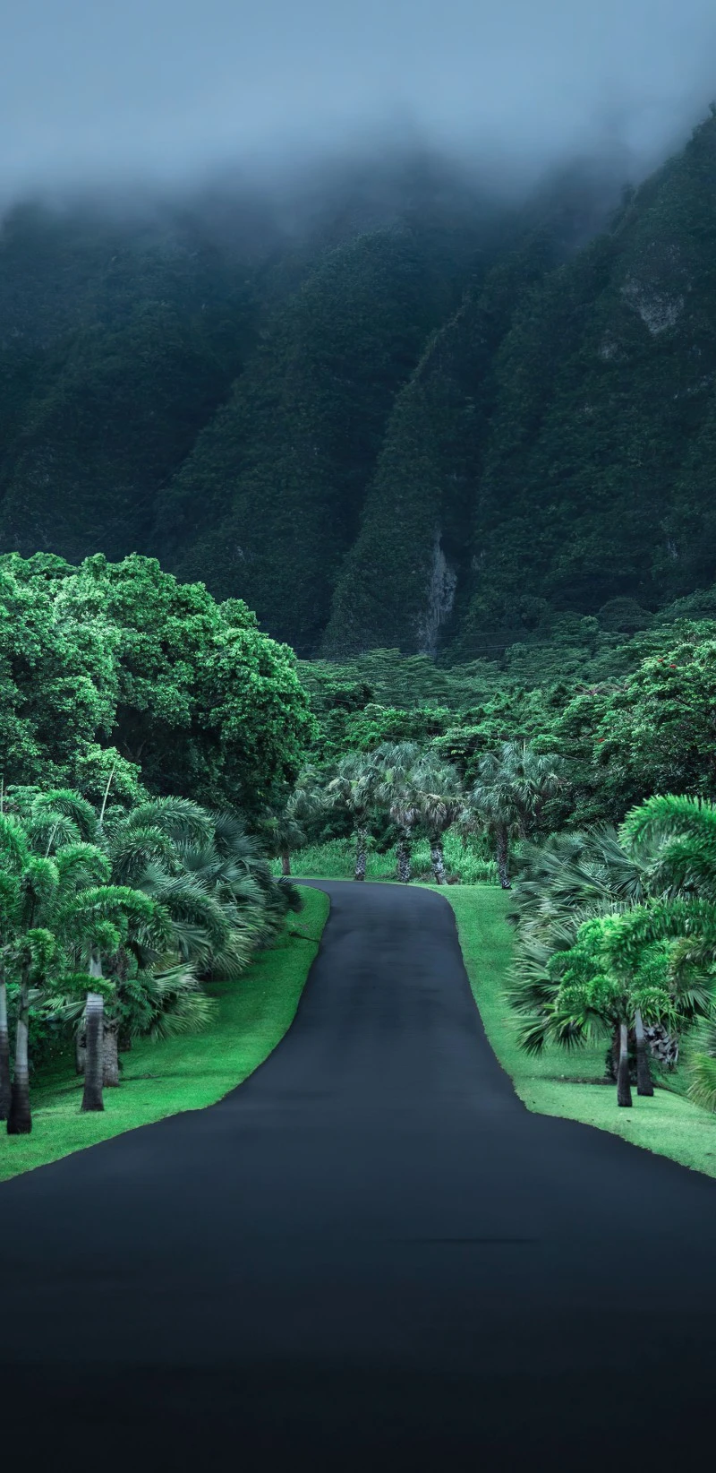 Misty Mountain Road 4K Mobile Wallpaper