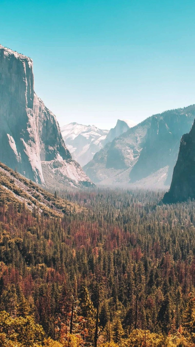 Yosemite Valley Vista 4K Mobile Wallpaper