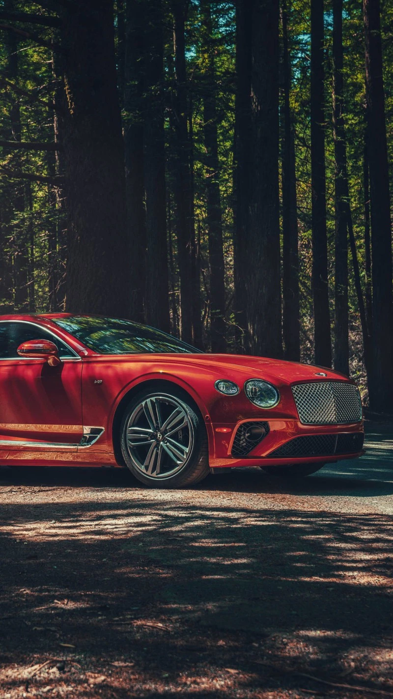 Red Bentley Continental GT in a Redwood Forest 4K Mobile Wallpaper