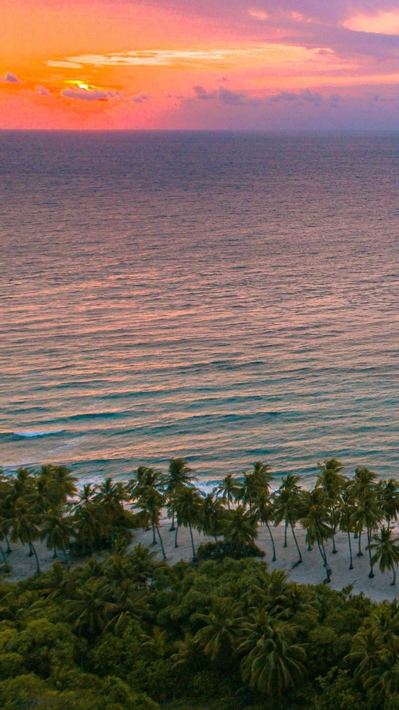 Tropical Sunset Paradise 4K Mobile Wallpaper
