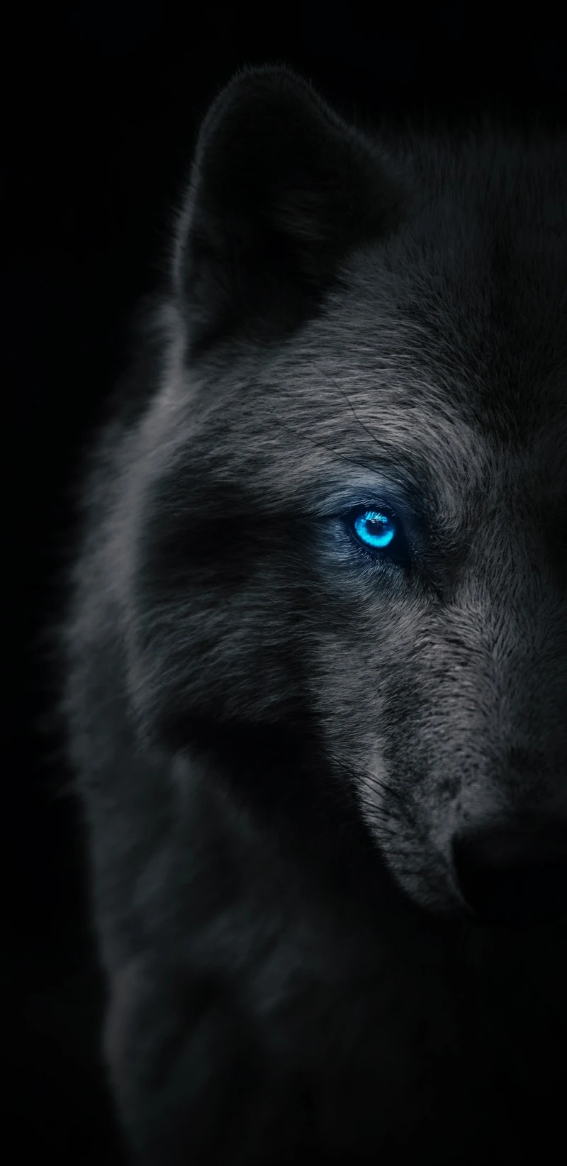 Mystical Wolf 4K Mobile Wallpaper