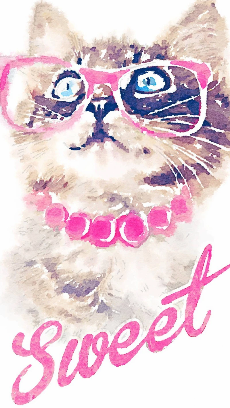 Sweet Kitty 4K Mobile Wallpaper
