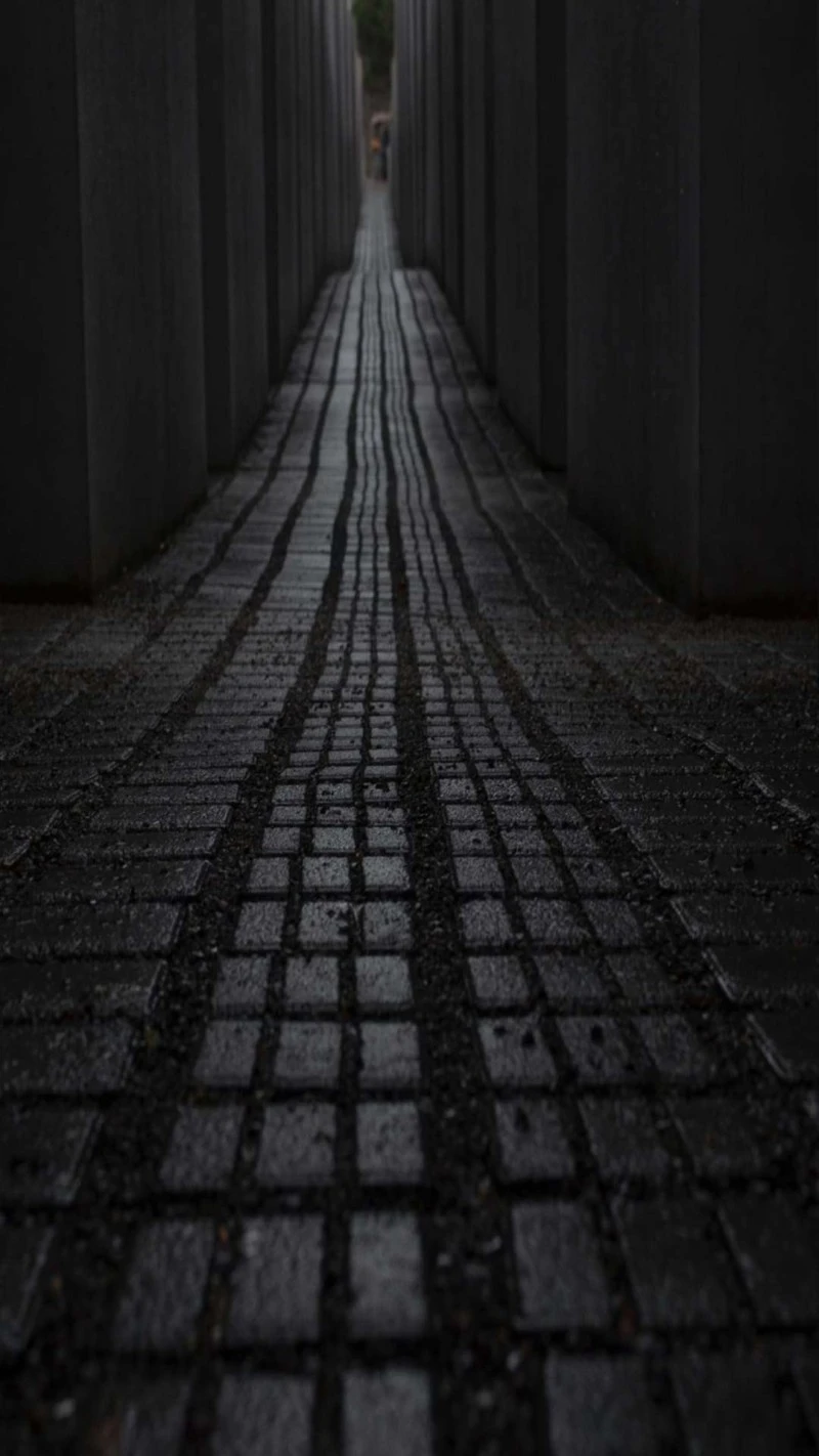 Memorial Path 4K Mobile Wallpaper