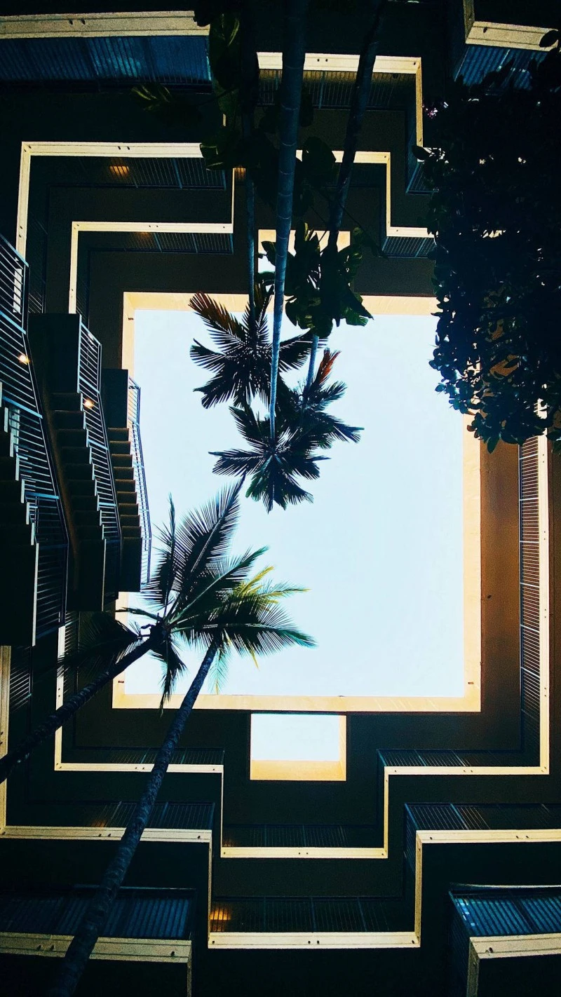 Tropical Atrium 4K Mobile Wallpaper