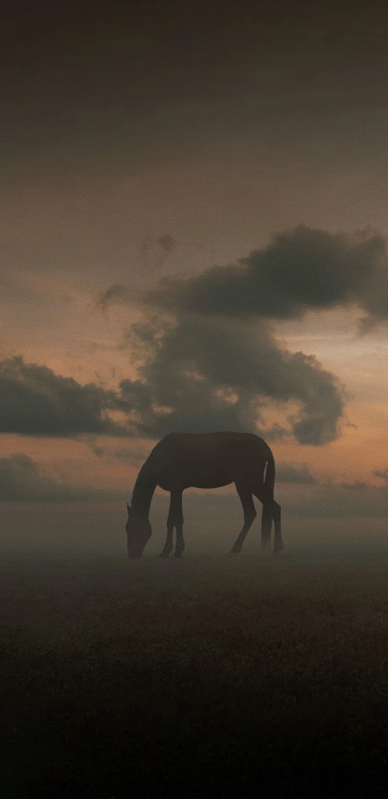 Solitary Horse in Misty Field 4K Mobile Wallpaper