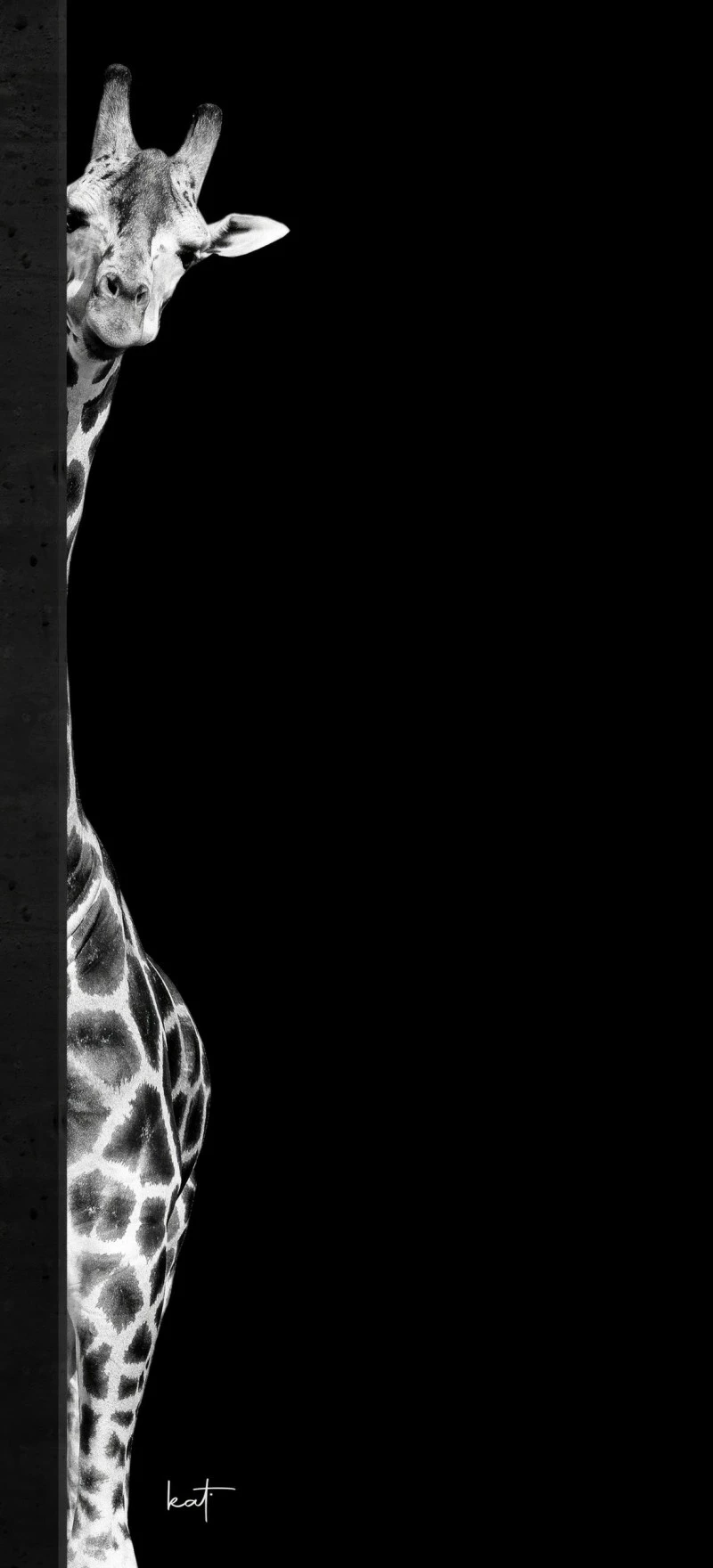 Playful Giraffe Peeking 4K Mobile Wallpaper