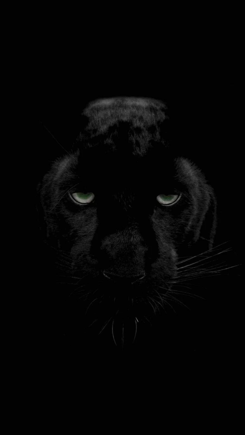 Black Panther 4K Mobile Wallpaper