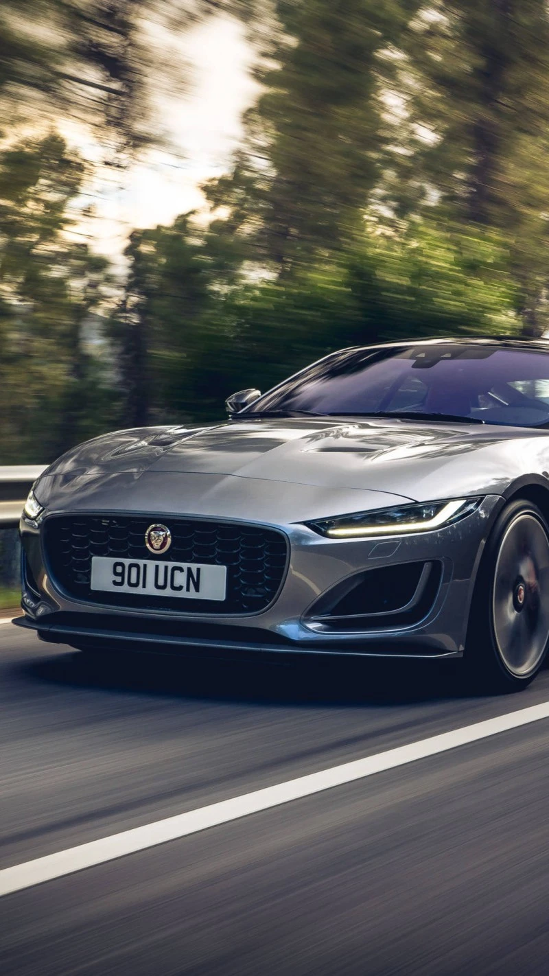 Jaguar Driving on the Road 4K Mobile Wallpaper