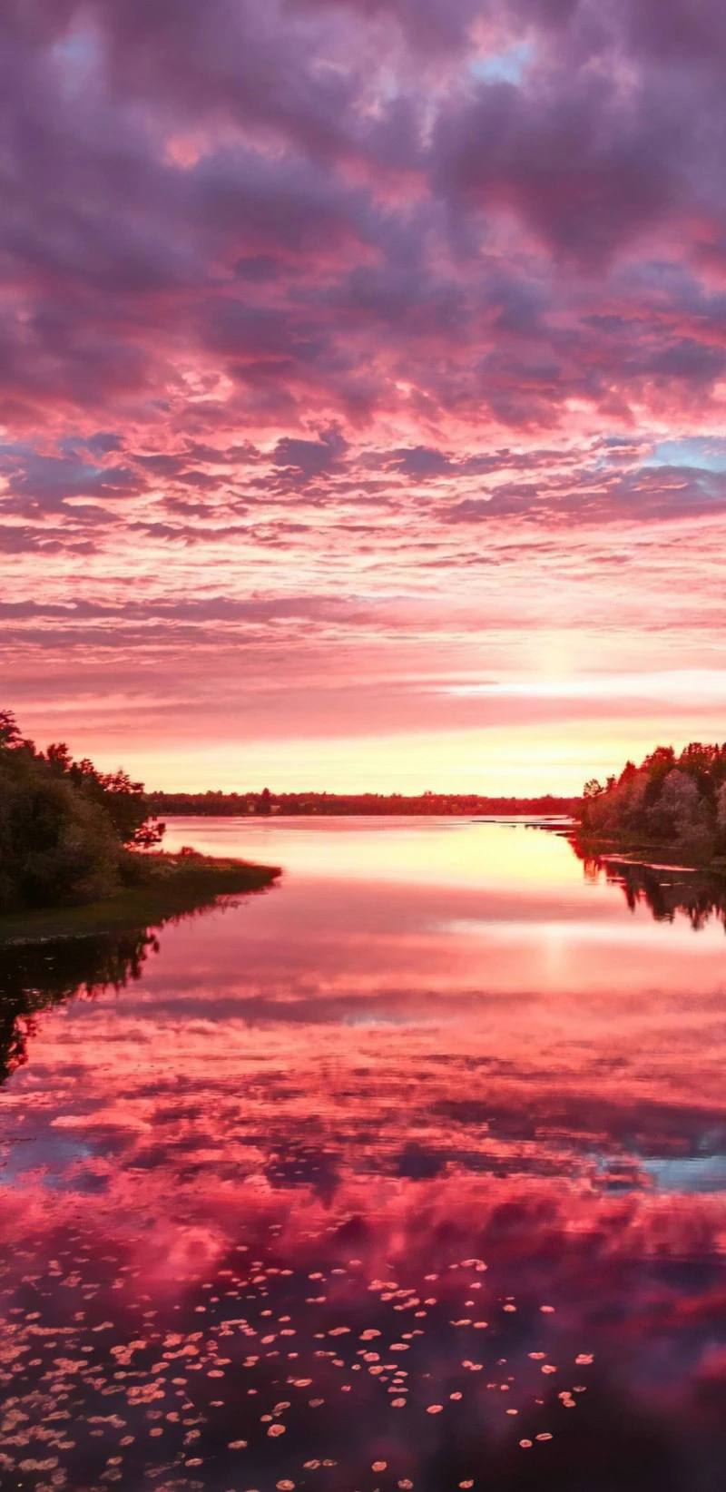 Pink Sunset Over Lake 4K Mobile Wallpaper