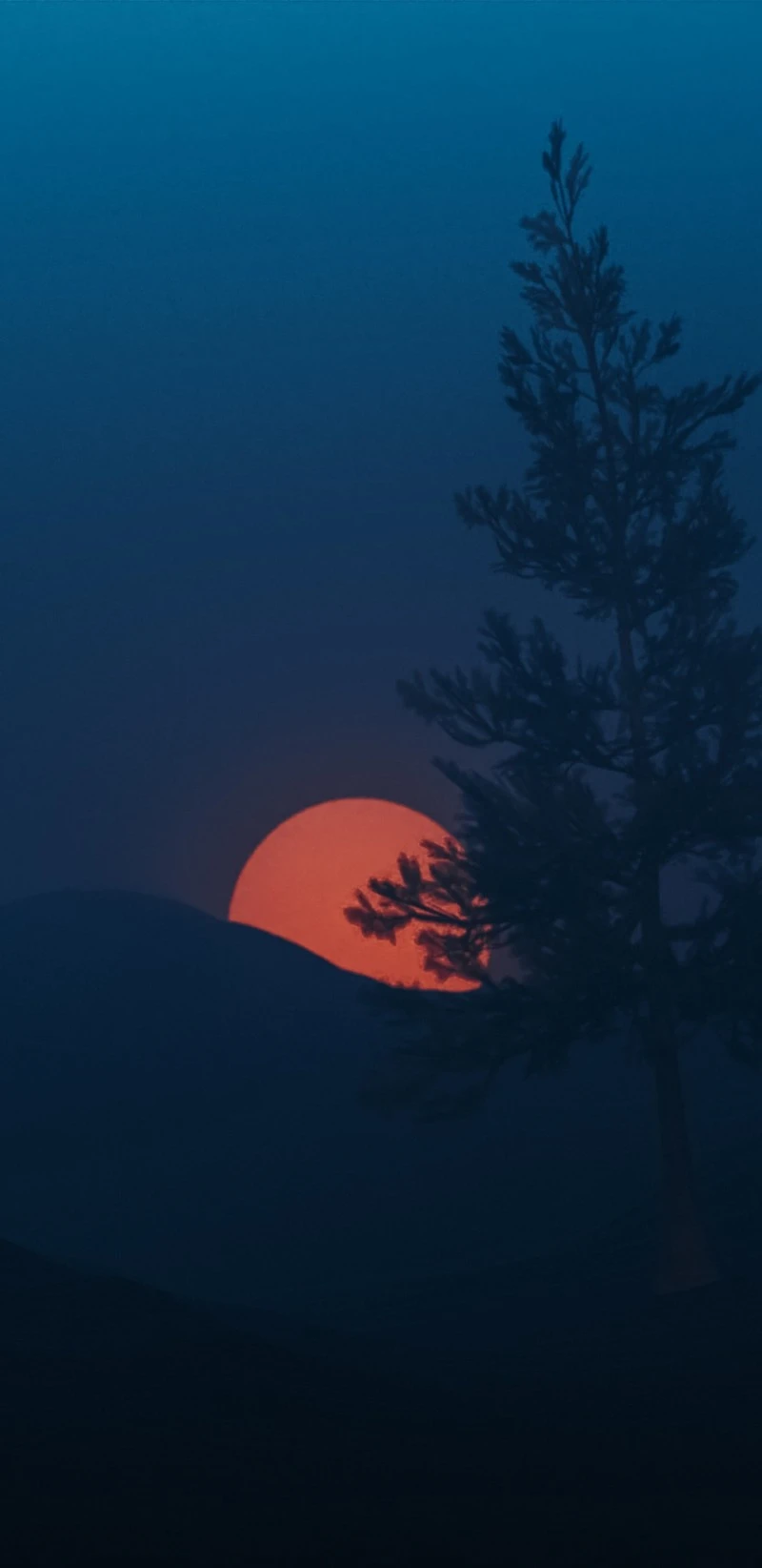 Silhouette of a Tree at Sunset 4K Mobile Wallpaper
