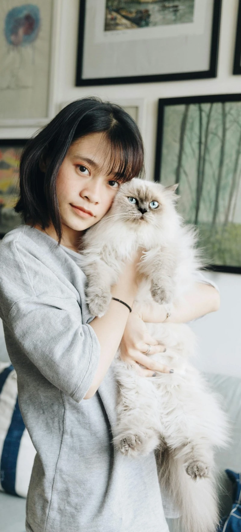 Woman with Fluffy Persian Cat 4K Mobile Wallpaper