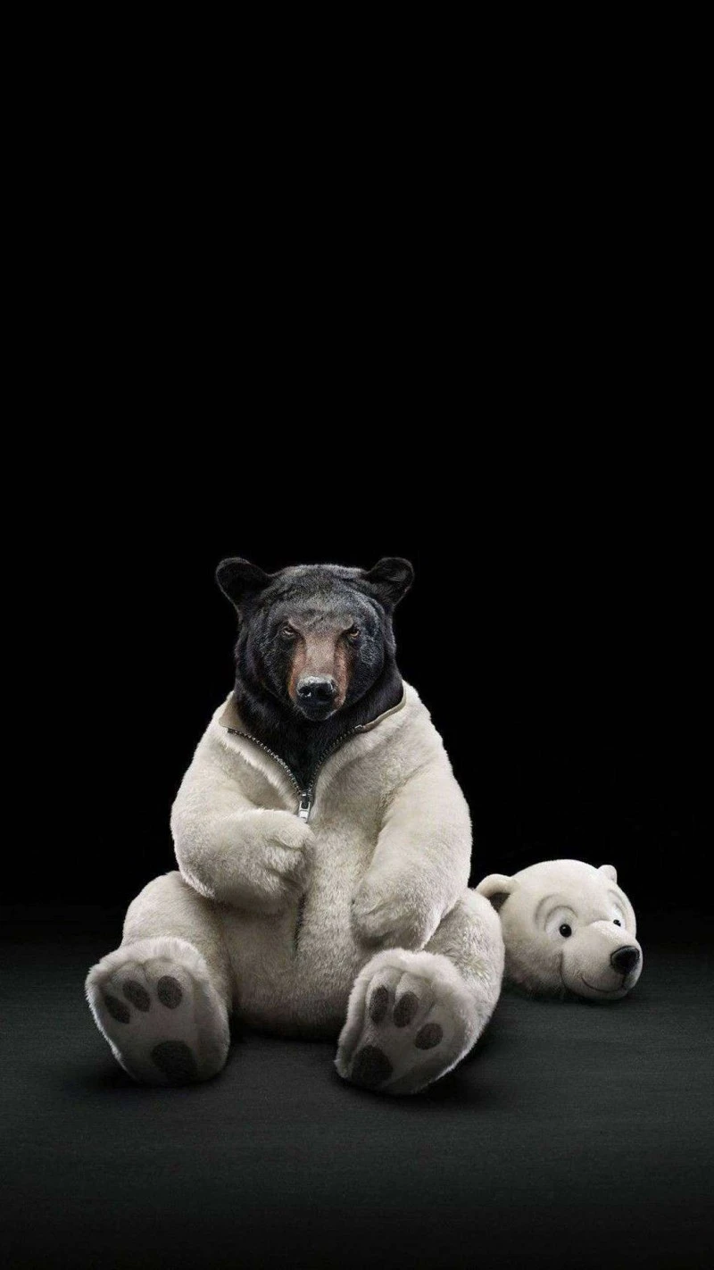 Bear in a Polar Bear Suit 4K Mobile Wallpaper
