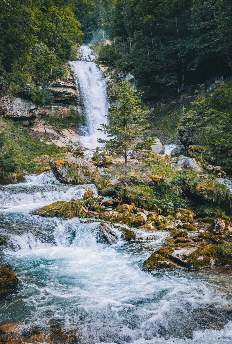 Cascading Waterfall in Lush Forest 4K Mobile Wallpaper