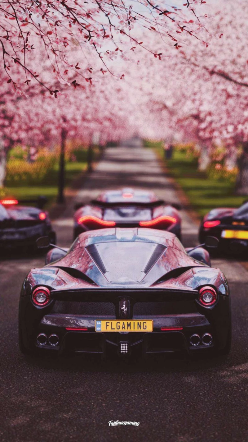 Ferrari LaFerrari Under Cherry Blossoms 4K Mobile Wallpaper