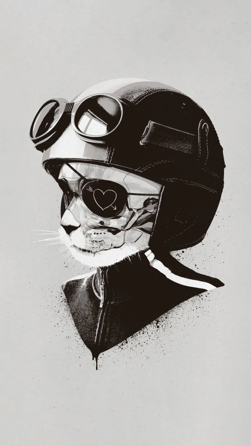 Cat biker with heart 4K Mobile Wallpaper