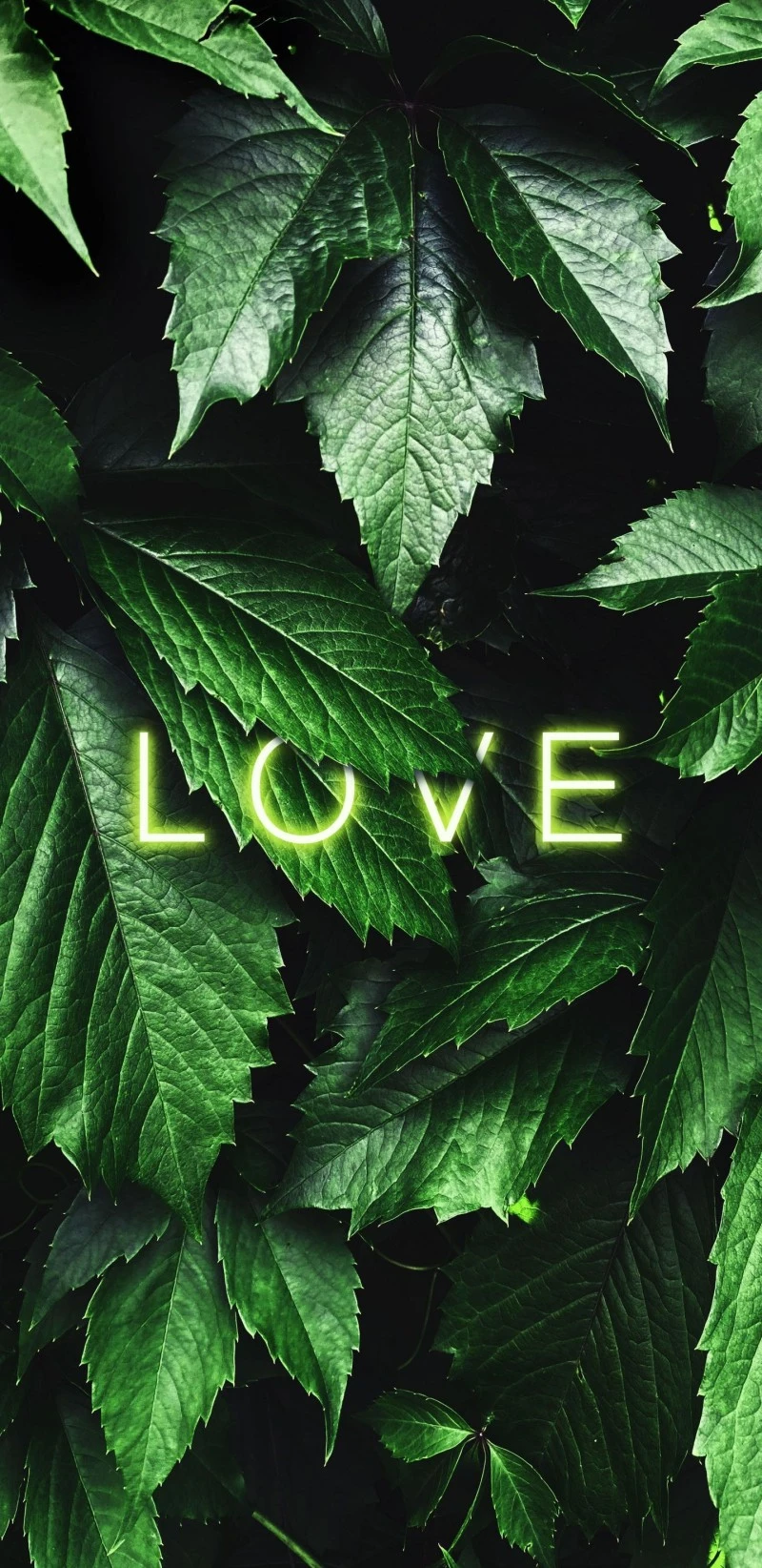 Neon Love Among Leaves 4K Mobile Wallpaper